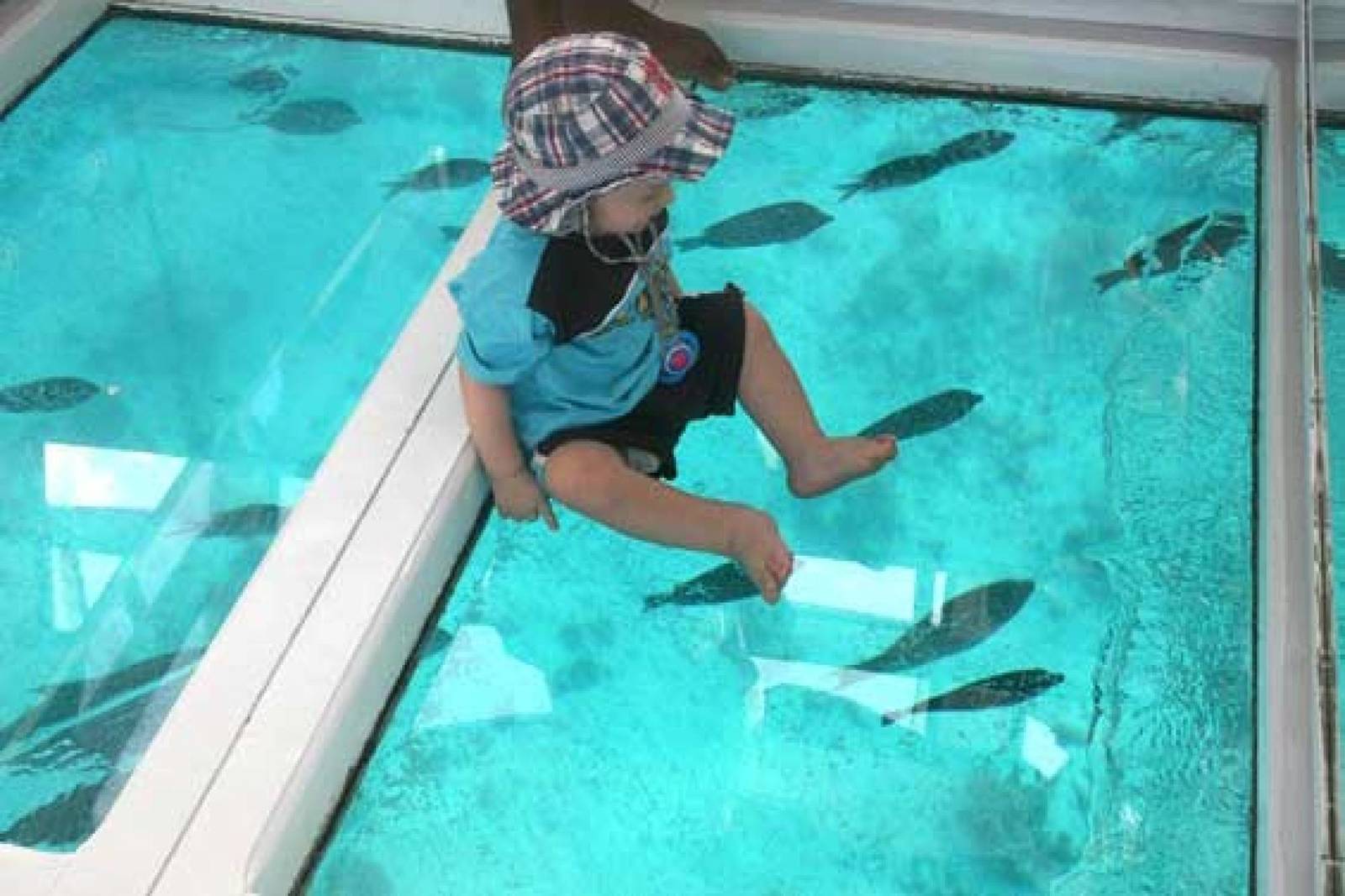 Click to open image!