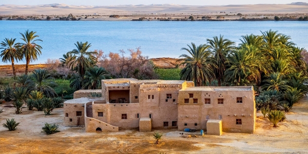 Siwa Oasis, a treasure in the middle of the desert